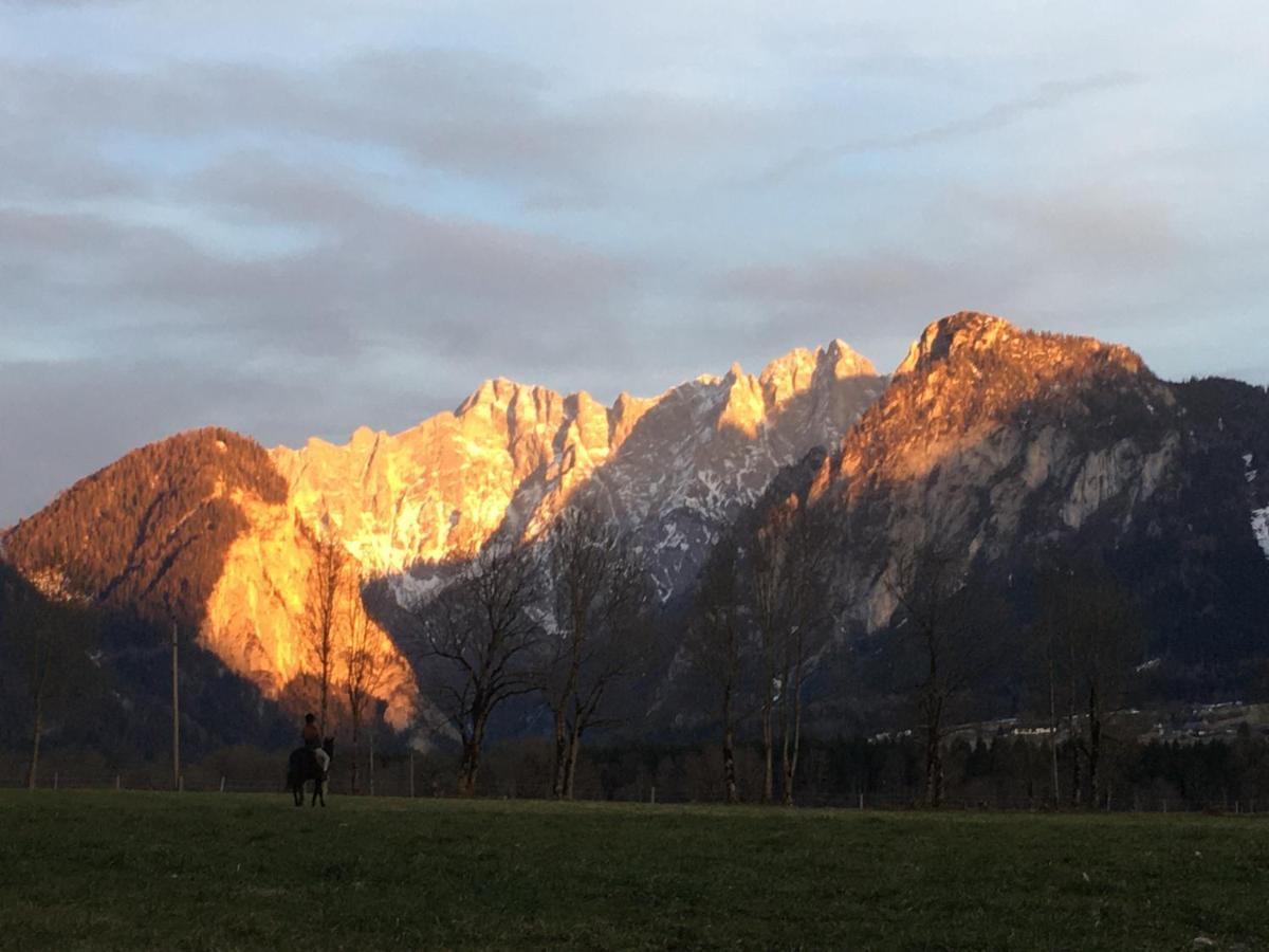 Bed and Breakfast Wengerwirt Zur Laube Weng im Gesause Exterior foto
