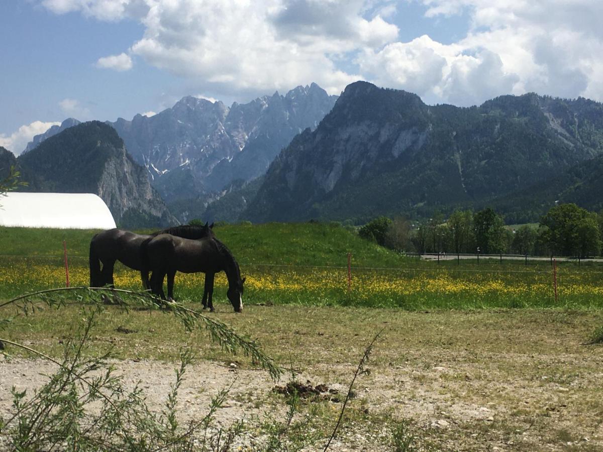 Bed and Breakfast Wengerwirt Zur Laube Weng im Gesause Exterior foto
