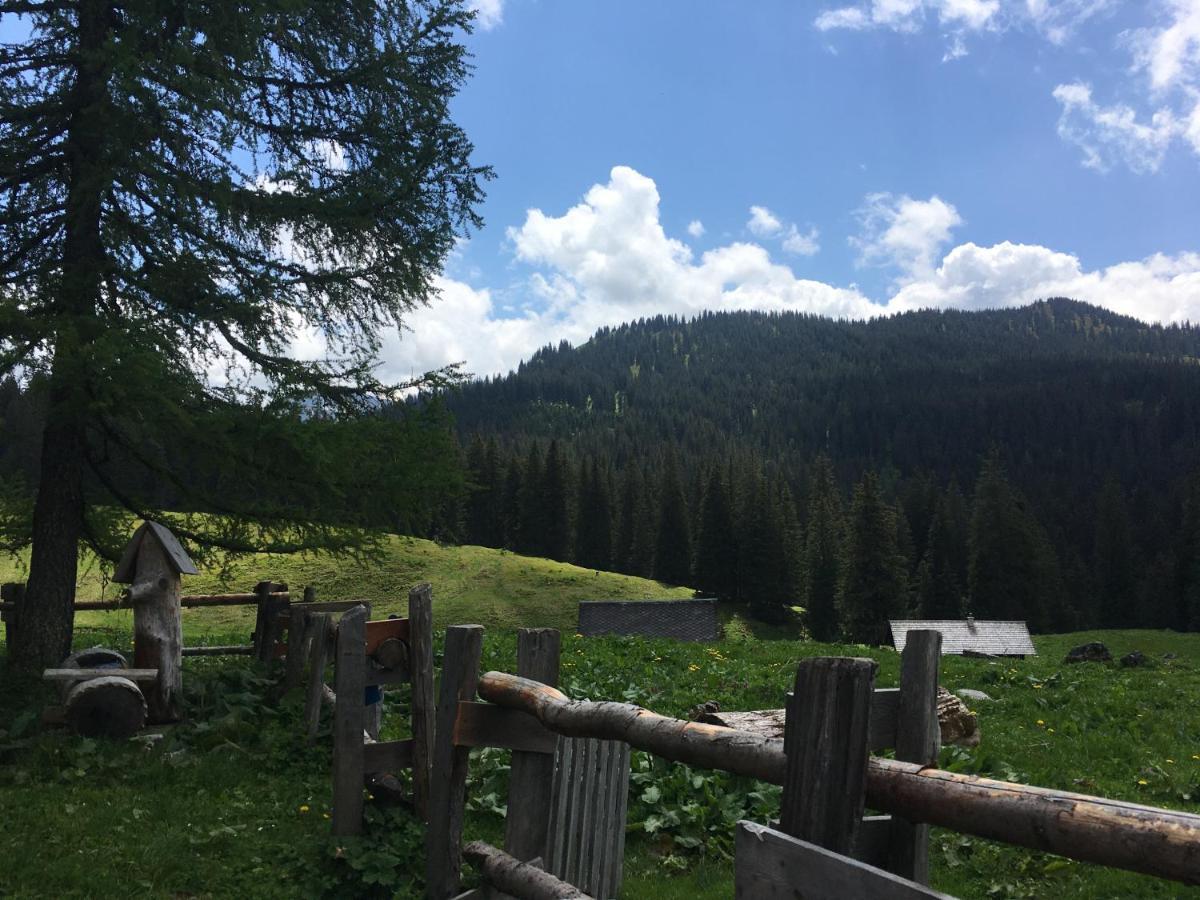 Bed and Breakfast Wengerwirt Zur Laube Weng im Gesause Exterior foto