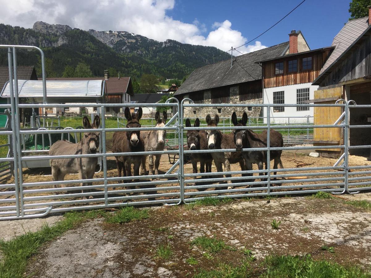 Bed and Breakfast Wengerwirt Zur Laube Weng im Gesause Exterior foto