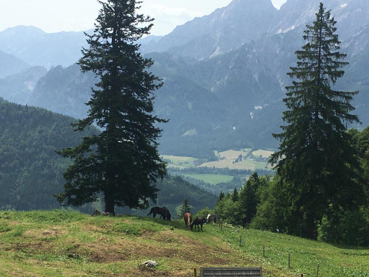 Bed and Breakfast Wengerwirt Zur Laube Weng im Gesause Exterior foto