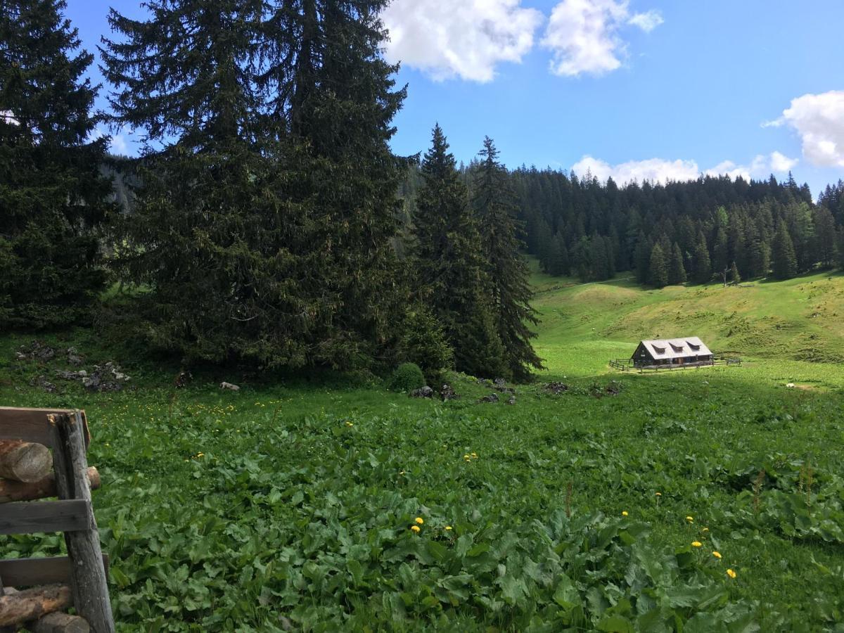 Bed and Breakfast Wengerwirt Zur Laube Weng im Gesause Exterior foto