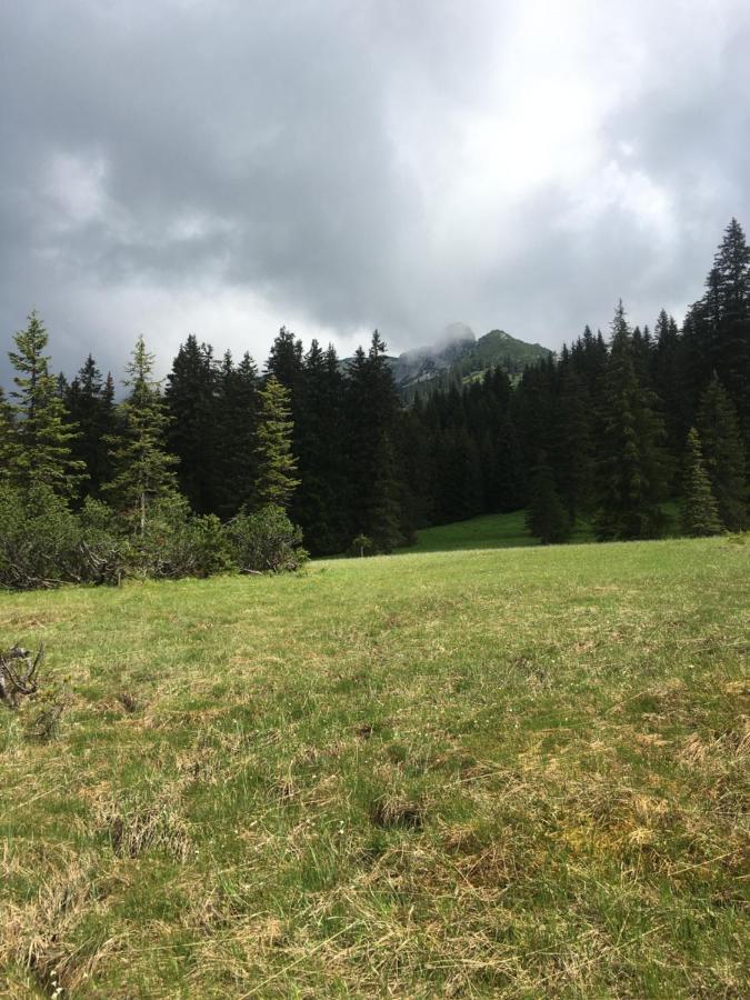 Bed and Breakfast Wengerwirt Zur Laube Weng im Gesause Exterior foto