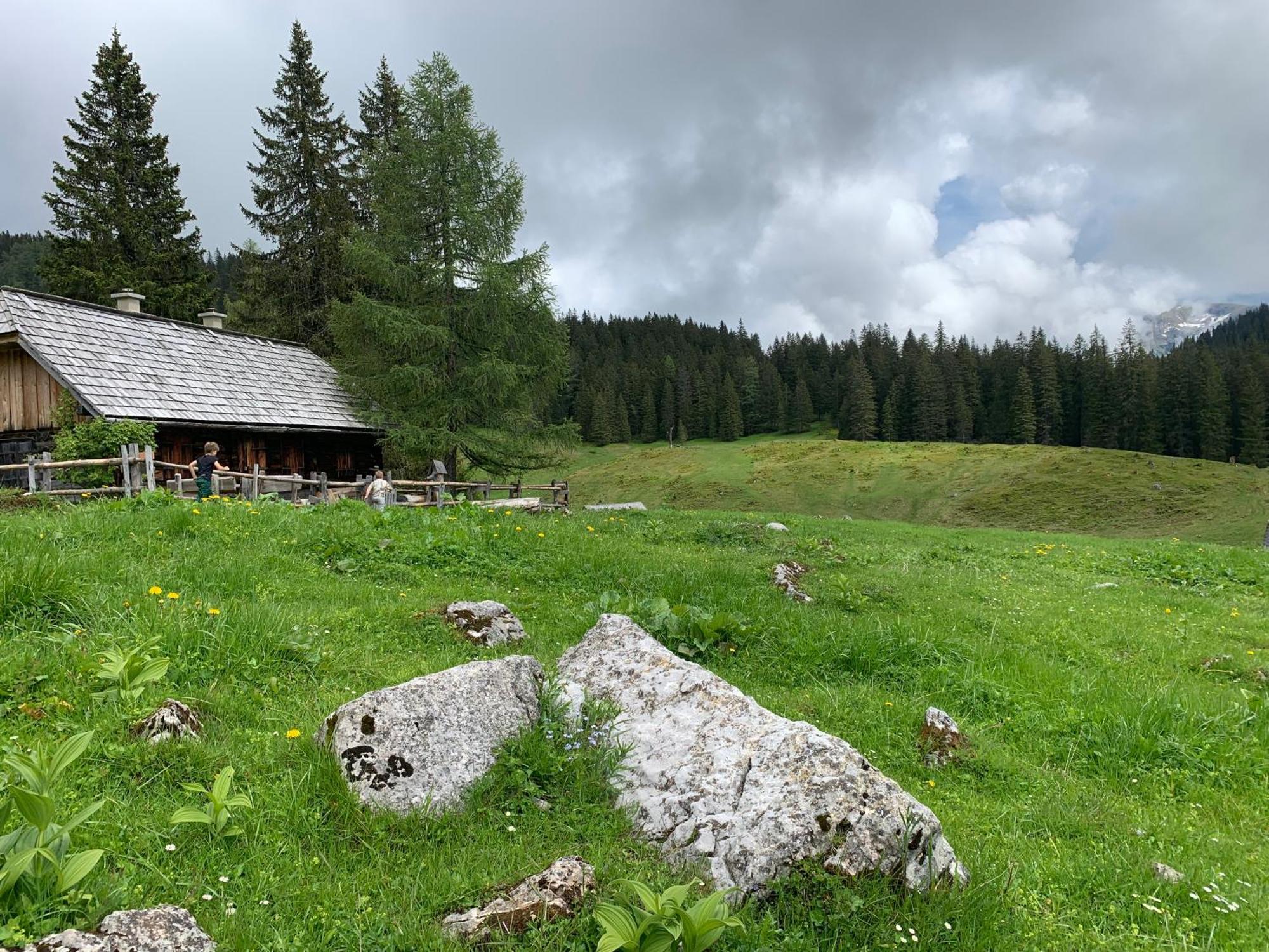 Bed and Breakfast Wengerwirt Zur Laube Weng im Gesause Exterior foto